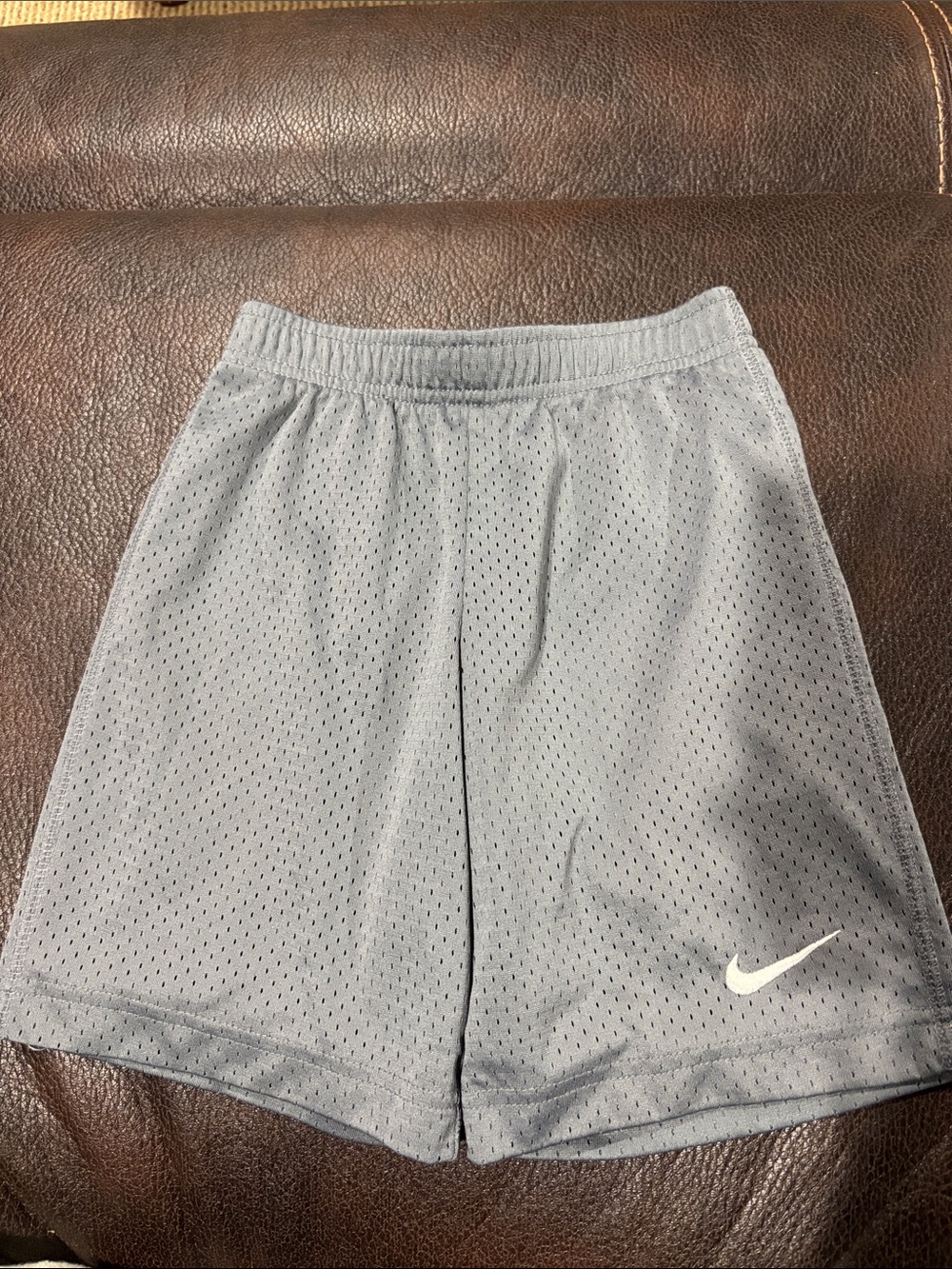 Nike Light Grey Mesh Shorts with White Swoosh